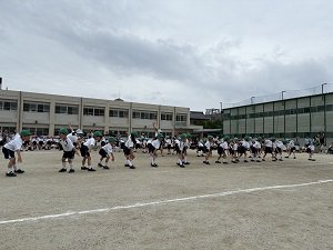 12_IMG_1337.jpg