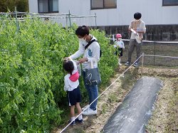 DSCF4208b.jpg