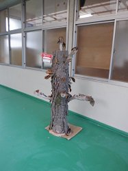 DSCF5304.jpg