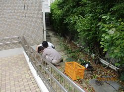 IMG_2263.JPG