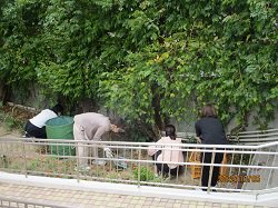 IMG_2265.JPG