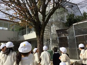 IMG_2373.JPG