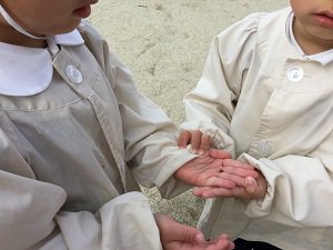 IMG_2374.JPG