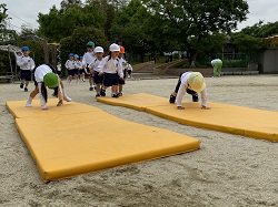 IMG_4041b7.jpg