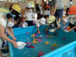 IMG_4874.JPG