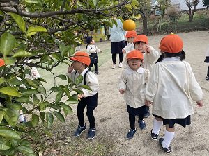 IMG_7385.JPG