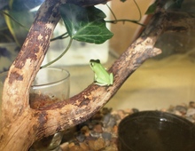 BL20160913-21.JPGのサムネイル画像