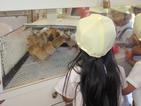 BL-20170921-28.jpgのサムネイル画像