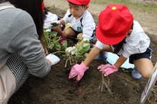 BL-20171024-02.JPGのサムネイル画像