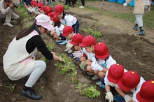 BL-20171024-24.JPGのサムネイル画像