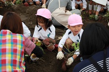 BL-20171024-25.JPGのサムネイル画像