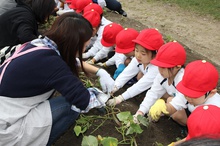 BL-20171024-27.JPGのサムネイル画像