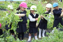 BL 2019.12.09-01.jpg