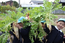 BL 2019.12.09-02.jpg