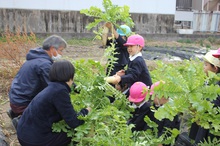 BL 2019.12.09-03.jpg