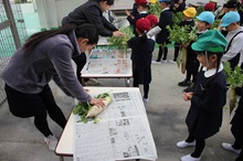 BL 2019.12.09-06.jpg