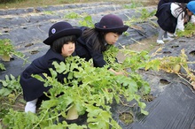 BL 2019.12.09-08.jpg