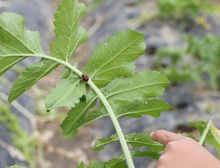 BL 2019.12.09-12.jpg