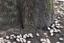 2020-07-22 10 31 23.png