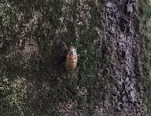 2020-07-22 10 31 41.png