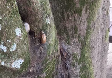 2020-07-22 10 32 00.png