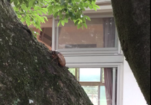 2020-07-22 10 32 23.png