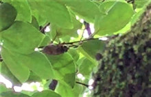 2020-07-22 10 33 34.png