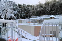 IMG_3836.JPGのサムネイル画像