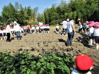 IMG_4337C.jpgのサムネイル画像